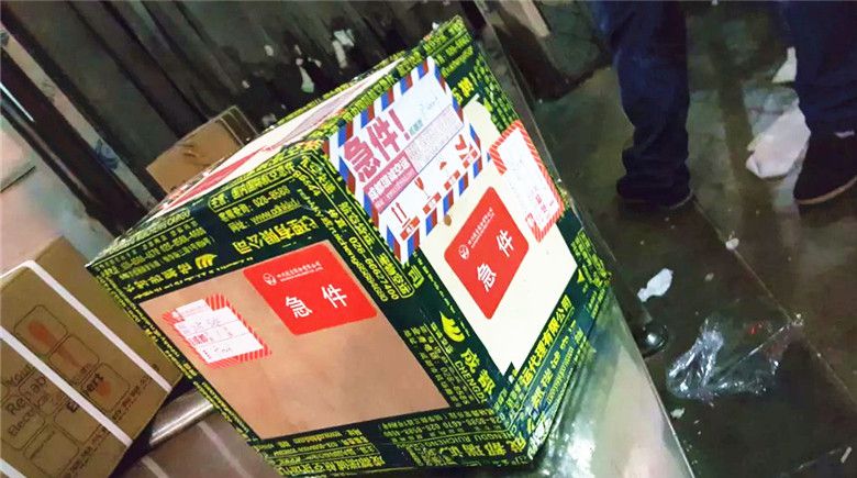 蟲(chóng)草航空快遞